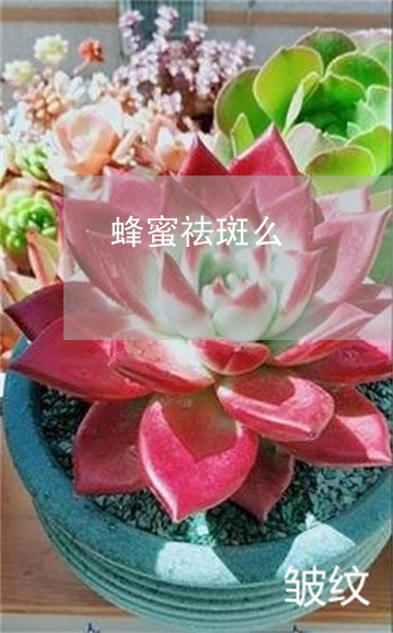 蜂蜜祛斑么