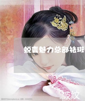 蜕变魅力总部祛斑